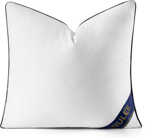 MIULEE 22x22 Pillow Insert Throw Pillow Premium Down Alternative Pillow Insert Square Decorative Pillow Stuffer for Sofa, Couch (22x22 inch) - Miulee