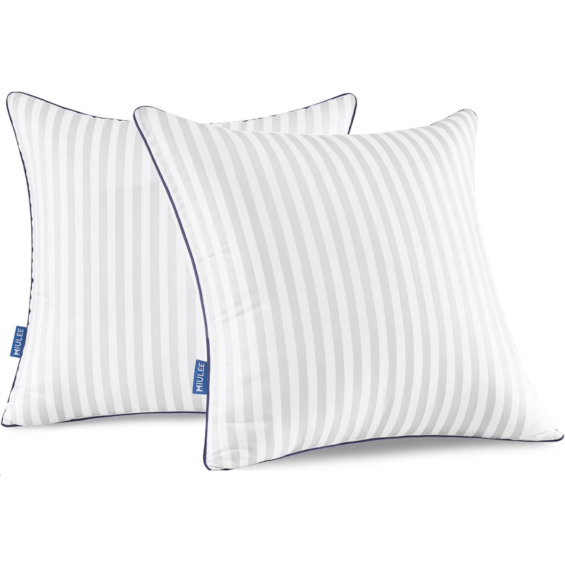 MIULEE 22x22 Throw Pillow Inserts Set of 2, Decorative Pillow Inserts for Couch Sofa Bed, Firm and Fluffy Down Alternative Filled with Cotton Cover - Miulee