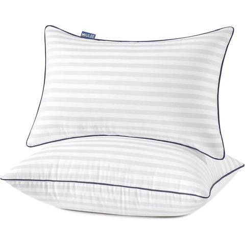 MIULEE Queen Bed Pillows Set of 2, 20x30 Decorative Pillow Inserts for Couch Sofa Bed, Firm and Fluffy Down Alternative Filled with Cotton Cover - Miulee
