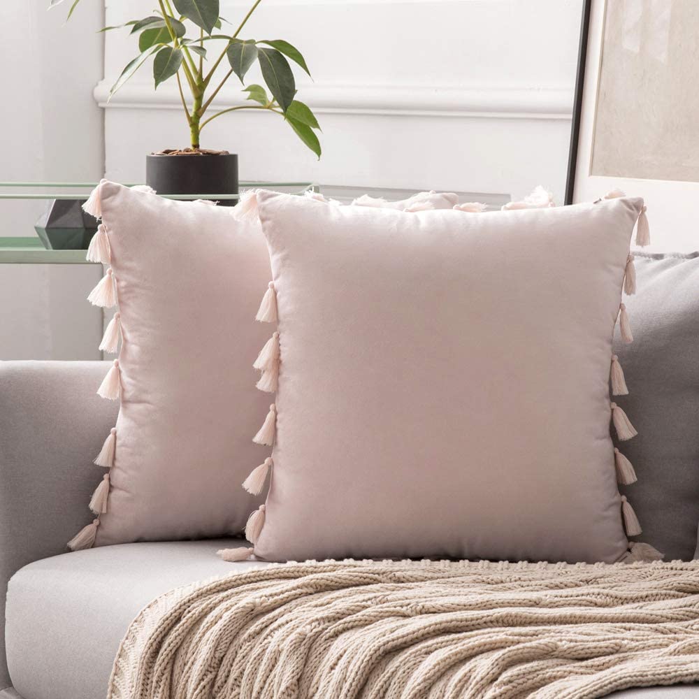 https://www.miulee.com/cdn/shop/products/MIULEE_Pack_of_2_Velvet_Soft_Solid_Decorative_Throw_Pillow_Cover_with_Tassels_Fringe_Boho_Accent_Cushion_Case_for_Couch_Sofa_Bed_Pink_01_1000x.jpg?v=1606442296