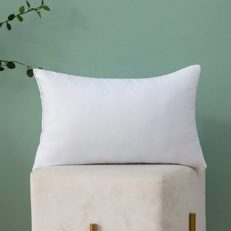 MIULEE Throw Pillow Insert Hypoallergenic Premium Pillow Stuffer Sham Square for Decorative Cushion Bed Couch Sofa 1 Pack - Miulee